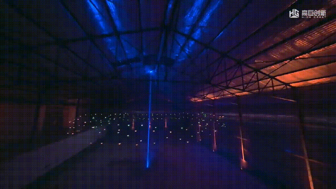 image4.GIF