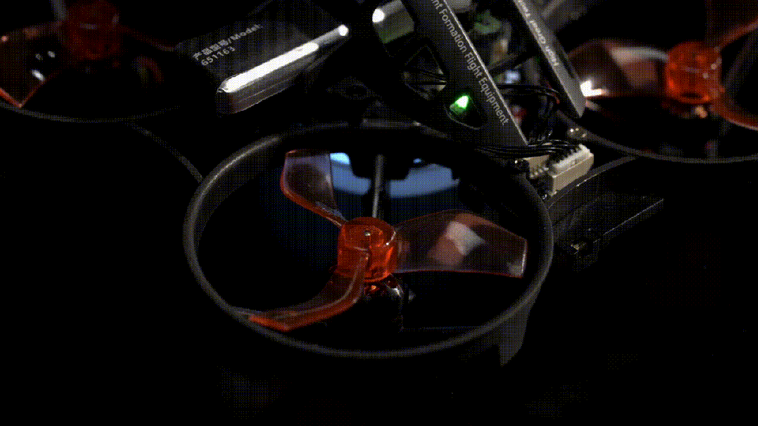 image3.GIF